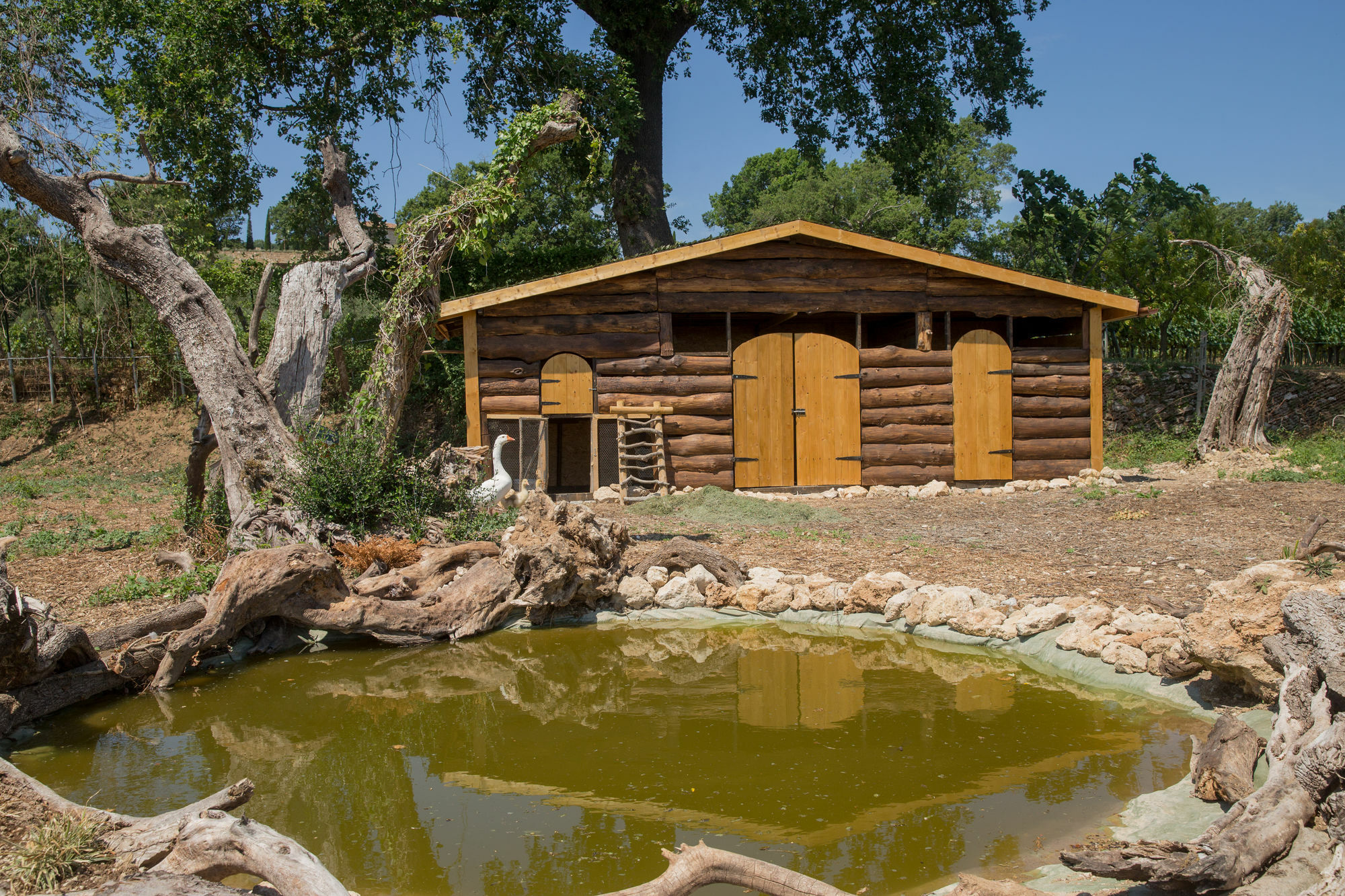 Agriturismo Le Anfore サルテアーノ エクステリア 写真